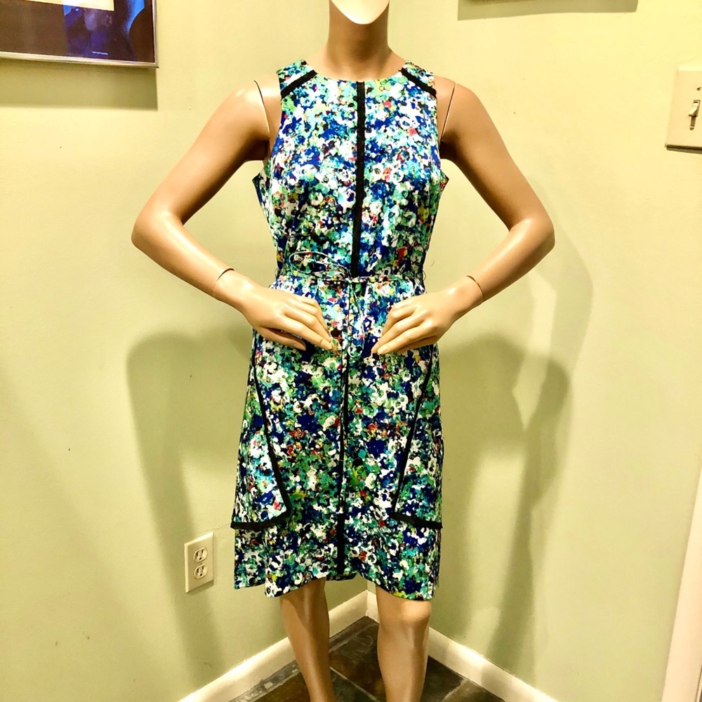 Ann Taylor Aline pattered dress